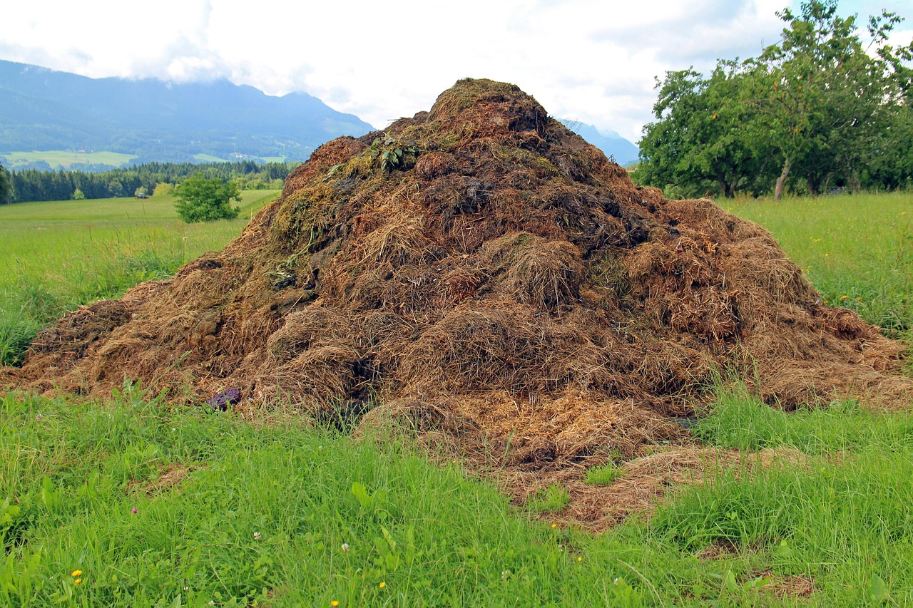 Diversi tipi di fertilizzanti naturali per orto, come compost e letame, su un tavolo di legno.