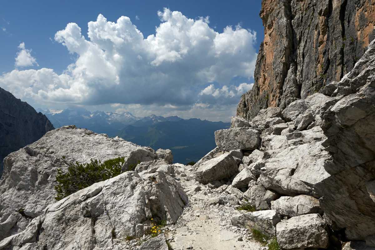 Sentiero dolomitico mozzafiato, paesaggio alieno con rocce e vegetazione unica.