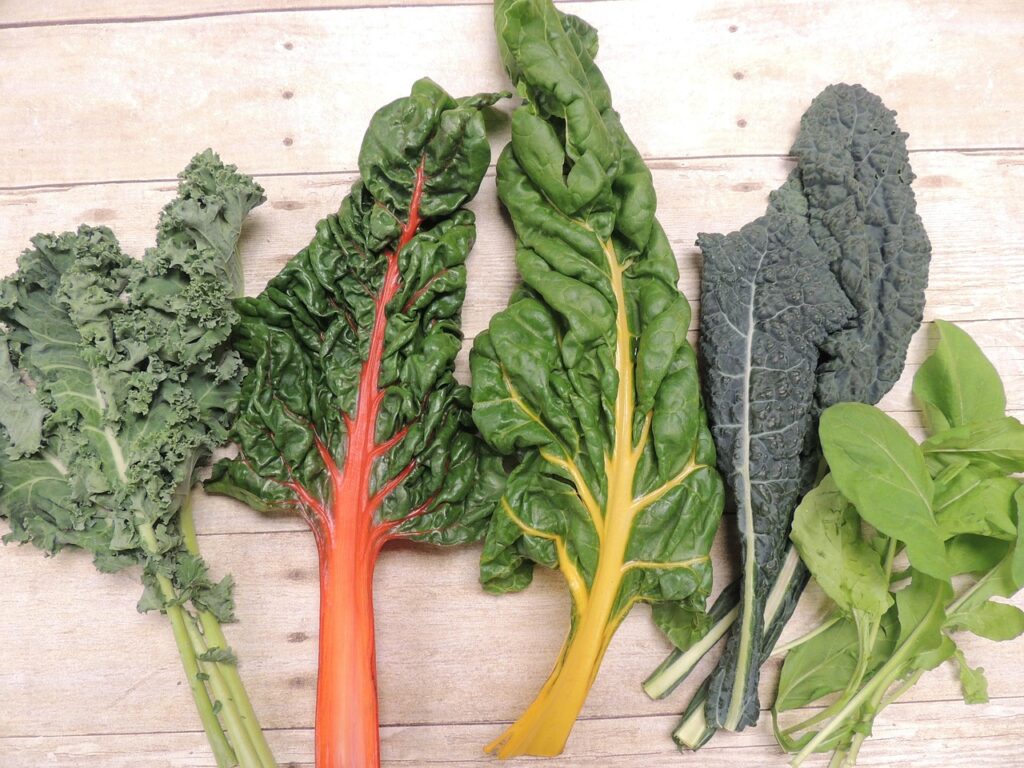 Verdure a foglia verde e colesterolo: cosa dice la scienza oggi